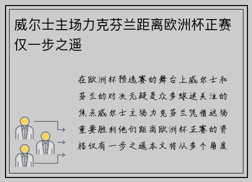 威尔士主场力克芬兰距离欧洲杯正赛仅一步之遥